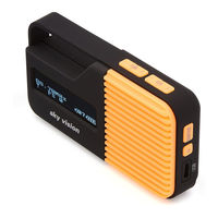 sky vision DAB 11B Instruction Manual