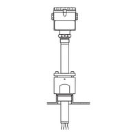 Endress+Hauser Liquiphant Operating Instructions Manual