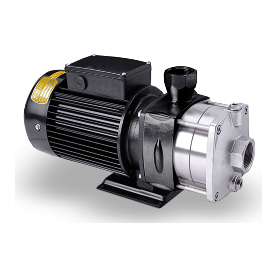 RUTHMAN RAE Pumps GTPH Series Installation, Operation And Maintenance Manual
