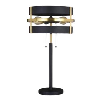 Patriot Lighting TS0134 Manual