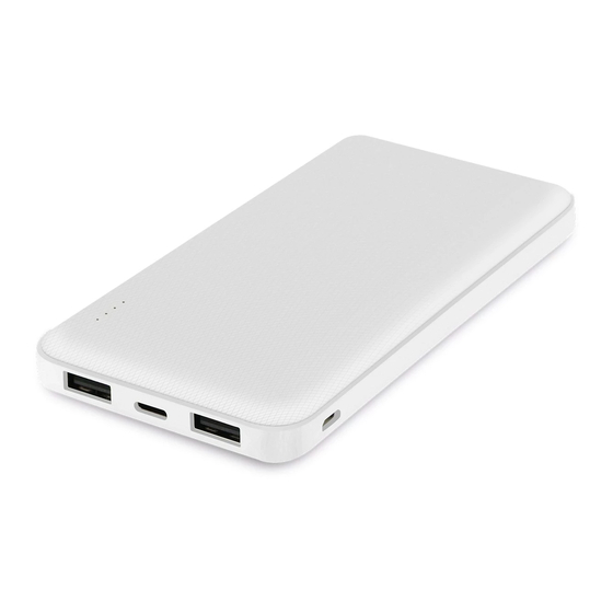 fontastic Renz10 USB Powerbank Manuals