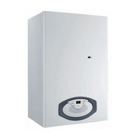 Ariston CLAS B 30 FF Installation And Servicing Instructions