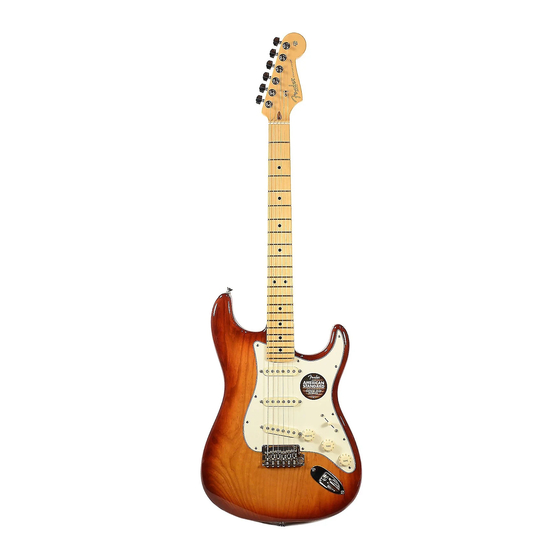 Fender American Standard Stratocaster Assembly
