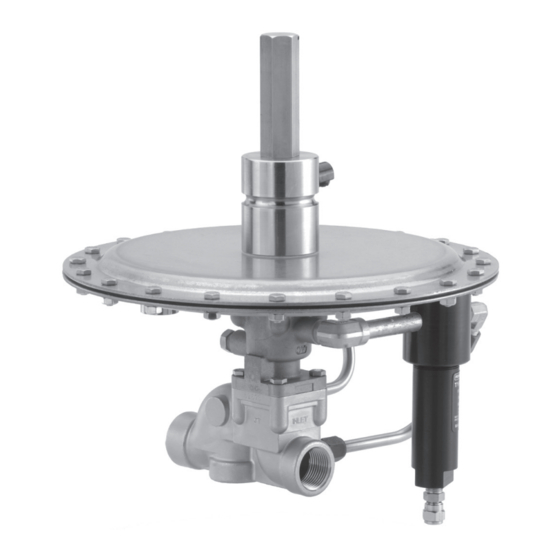 User Manuals: Emerson Fisher ACE95 Series Valve
