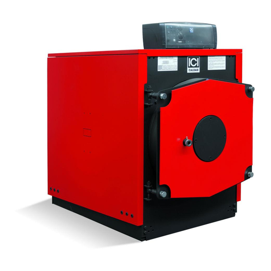 ICI Caldaie REX F 7 Instructions For Installation, Use And Maintenance Manual