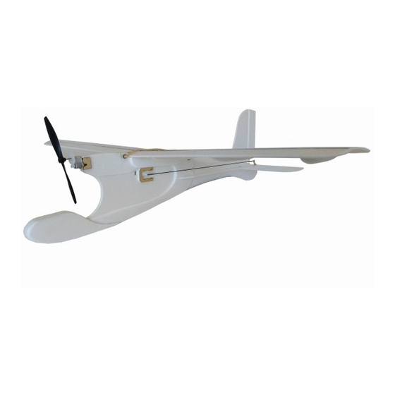 MicronWings Student Flyer Instructions