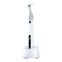 Guilin Woodpecker Medical Instrument Endo Motor Instruction Manual