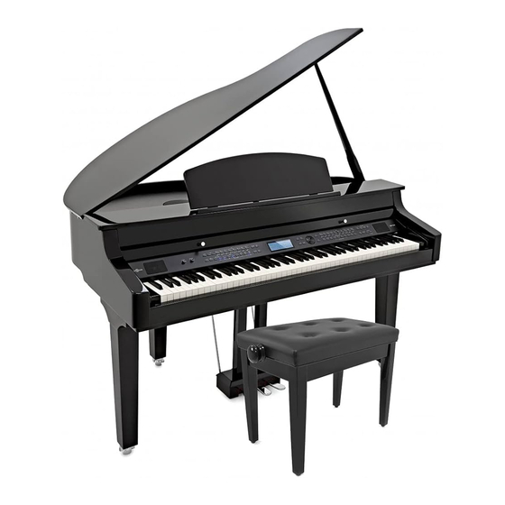 Gear4music GDP-500 User Manual
