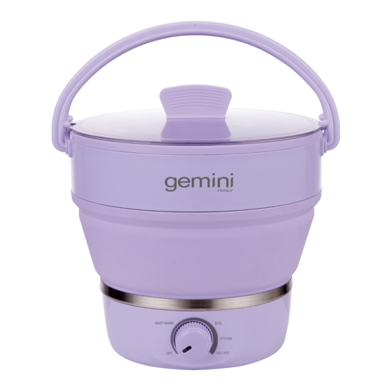 User Manuals: GILMAN Gemini GTC12V Travel Cooker