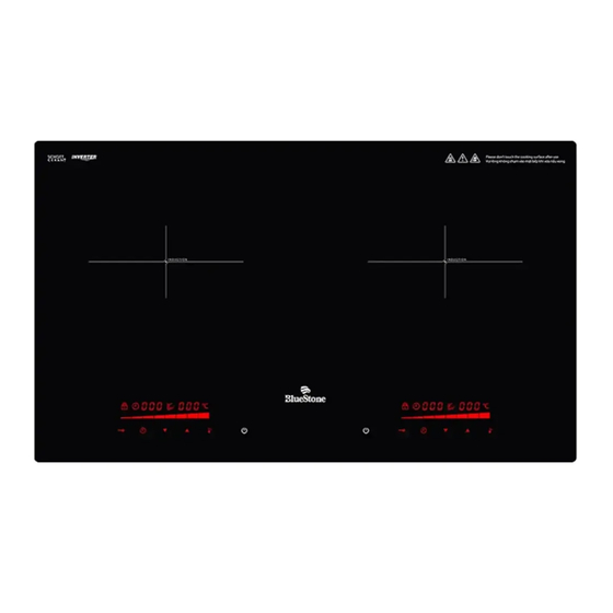 Bluestone ICB-6948 User Manual