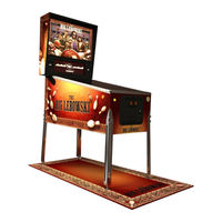 Dutch Pinball The Big Lebowski Pinball Technical Support