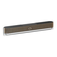 Bang & Olufsen BeoSound THEATRE User Manual