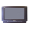 TV Panasonic TX-W28R4L Service Manual