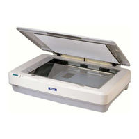 Epson Scanner A3 User Manual