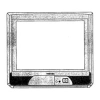 Toshiba 2132DS Owner's Manual