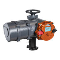 Emerson Bettis RTS CL Series User Instructions