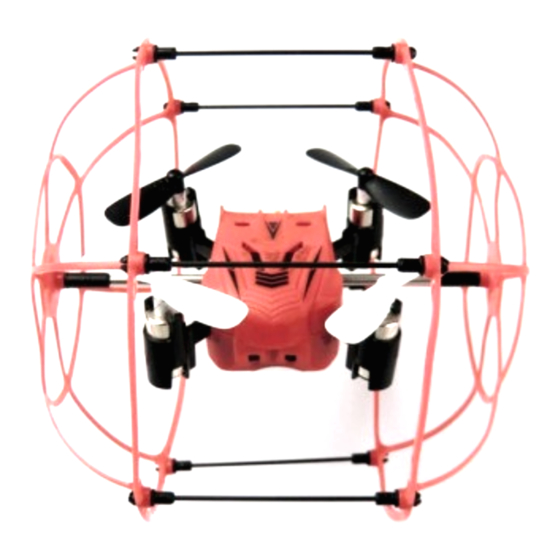 Rayline R802-1 Instruction Manual