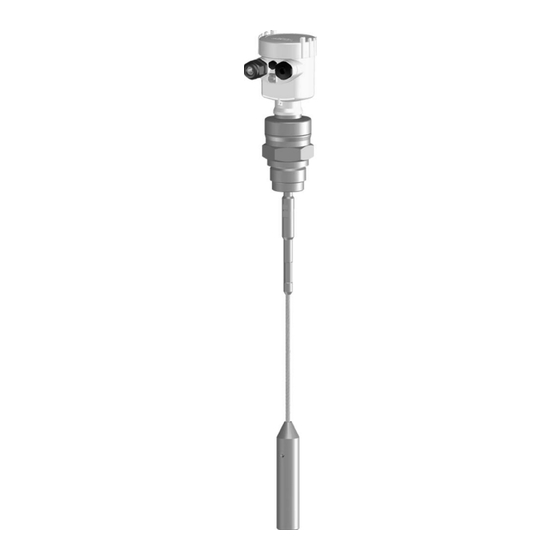 Vega VEGAFLEX 62 Product Information