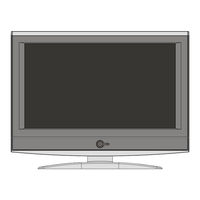 Skyworth LCD-26L16 User Manual