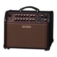 Boss Acoustic Singer Pro ACS-PRO Owner's Manual