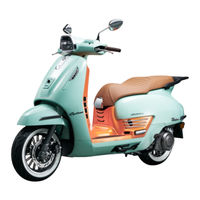 CyClone RT2E Modern 250 User Manual