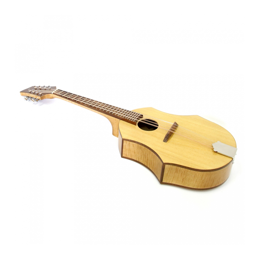 Musicmakers Dakota Mandola KIT Manual