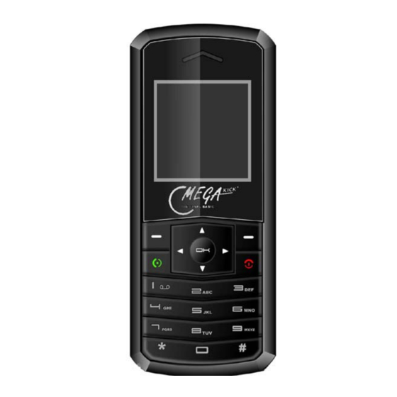 WJG MEGAKICK HY-100 Reference Manual