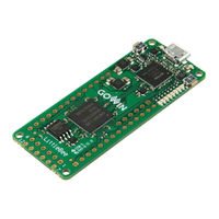 GOWIN GW2A-55 Programming And Configuration Manual