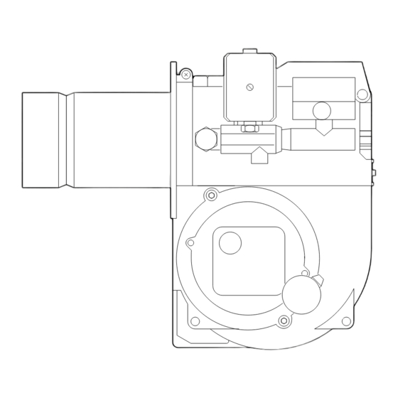 Ecoflam AZUR 30 Manual