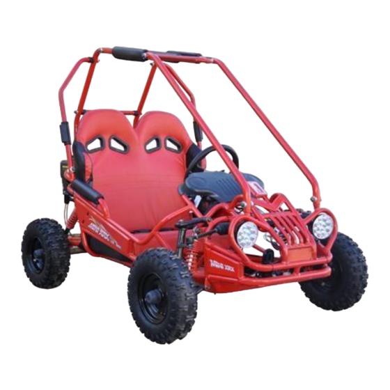 GOKARTS USA TrailMaster MINI Instructions