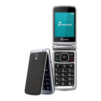 Easyteck F300i Manual