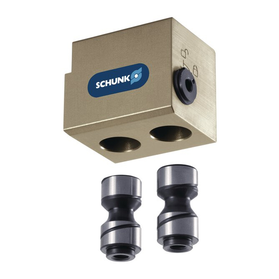 SCHUNK BSWS Assembly And Operating Manual