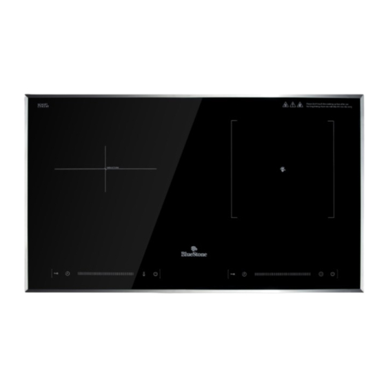 Bluestone ICB-6911 User Manual