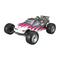 Motorized Toy Car Team Losi XXX-NT Sport Owner's Manual