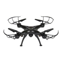 BCP SKY2913 Instruction Manual