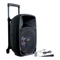 Lotronic Party LIGHT & SOUND PARTY-8LED User Manual