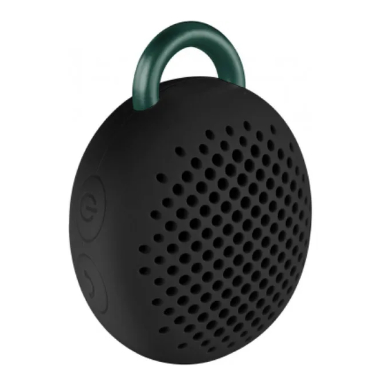 Divoom Bluetune-Bean Manual