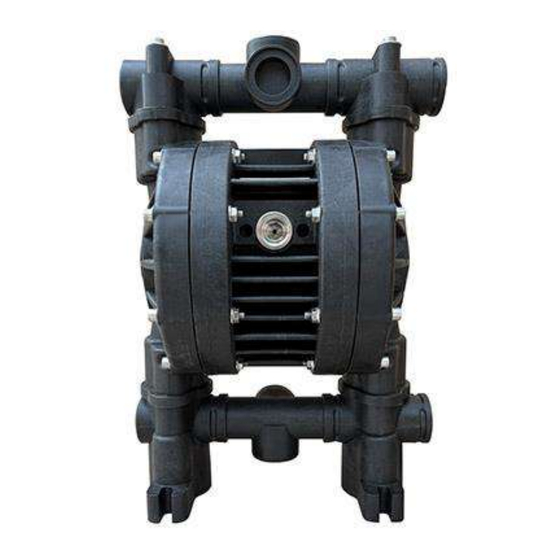 ALPHA DYNAMIC PUMPS Ruby Black Line 125 Installation, Operation And Maintenance Manual
