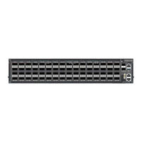 Accton Technology AS9817-64D Quick Start Manual