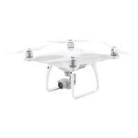 dji PHANTOM 4 Series Disclaimer And Safety Manuallines
