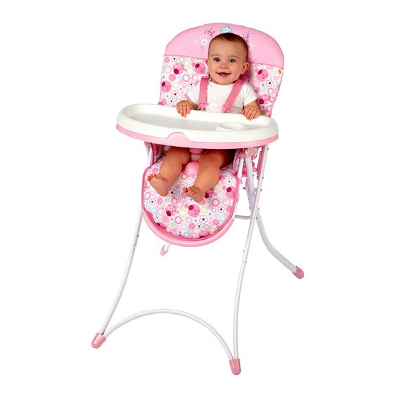 Bright Starts Sweet Spots & Ladybugs 6973 Manual
