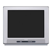 Philips 24PT6341 User Manual