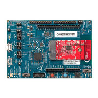 Infineon CYW920819M2EVB-01 Quick Start Manual