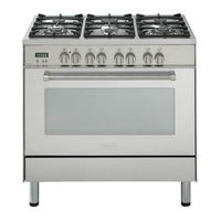 DeLonghi DFS 905 User Operating Instructions Manual