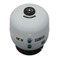 Jandy SFSM60 Installation And Operation Manual