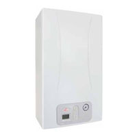 Fondital ANTEA RBTFS 40 Installation, Use And Maintenance Instruction