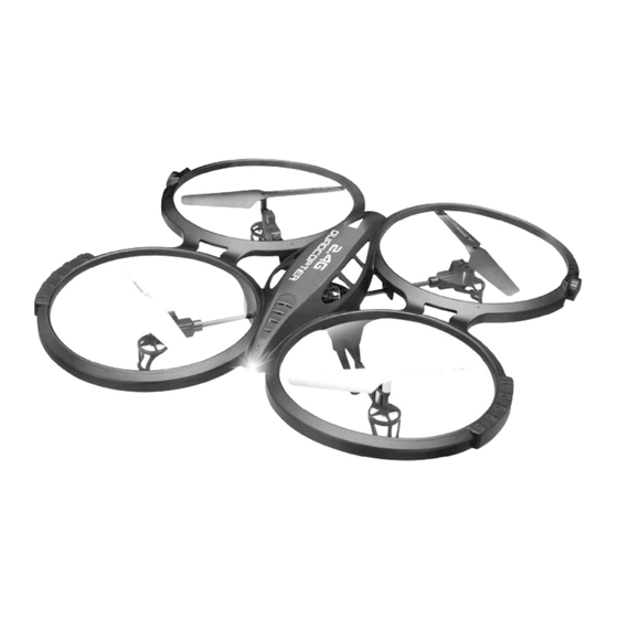 Rayline R807V Instruction Manual
