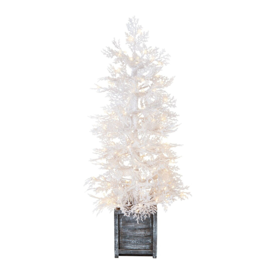 Home Accents Holiday TV40PT064L01 Quick Start Manual