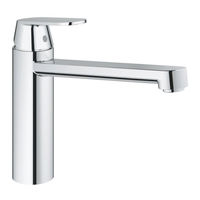 Grohe Eurosmart Cosmopolitan 32 843 Manual