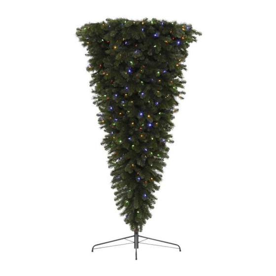 Home Accents Holiday TG70M3W89D06 Manual